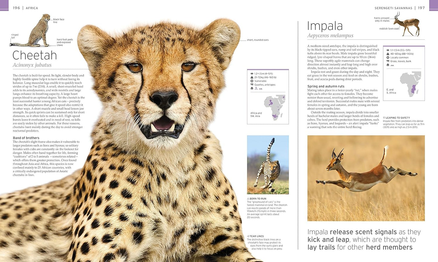 Wildlife Of The World