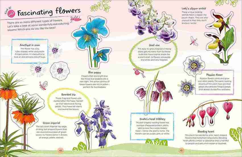 Educational illustration of various flowers with labels and descriptions.