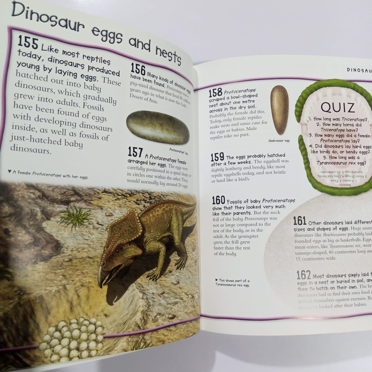 Over 1000 Fantastic Animal Facts (Preloved)