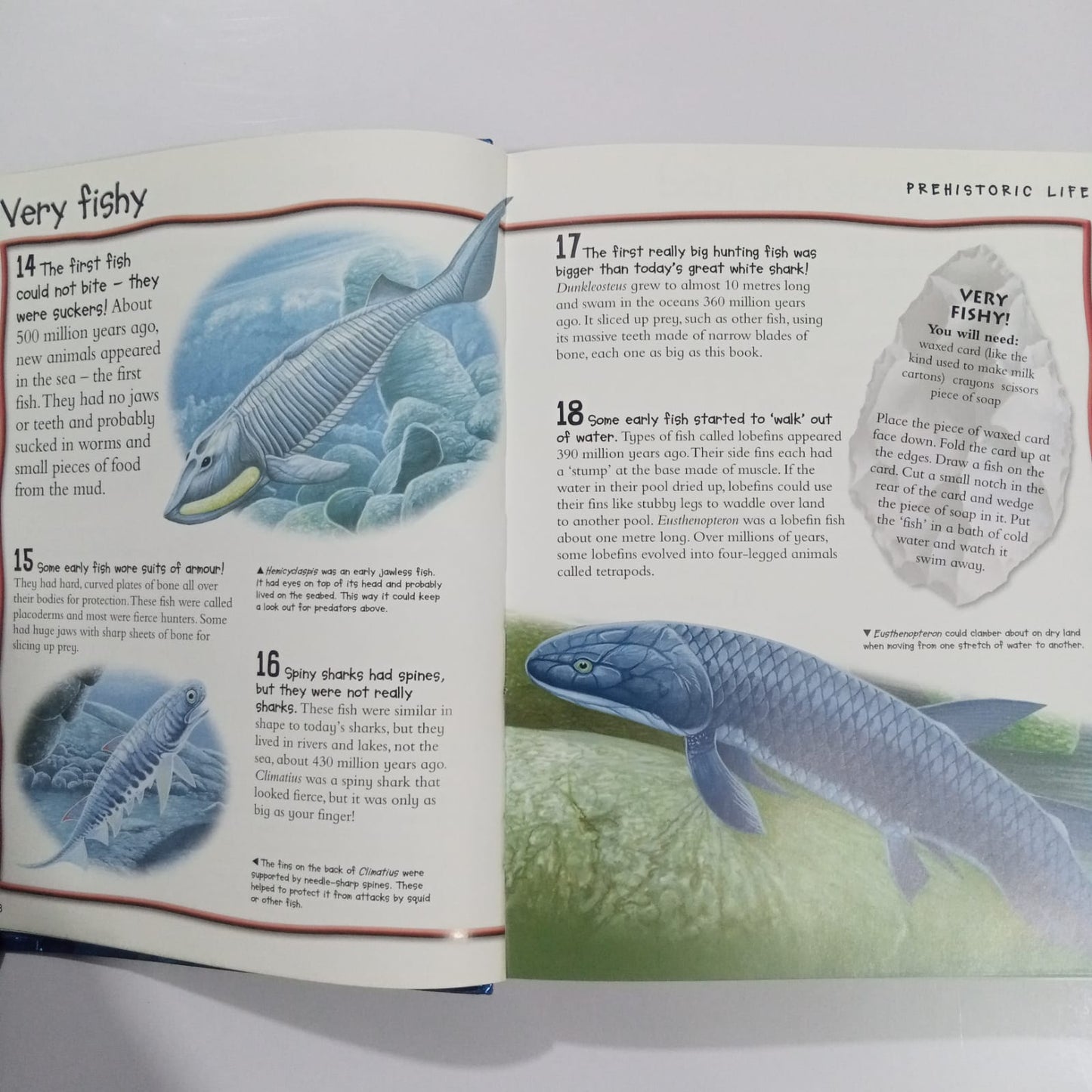 Over 1000 Fantastic Animal Facts (Preloved)