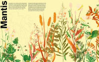 Illustration of a praying mantis among plants and flowers on a beige background