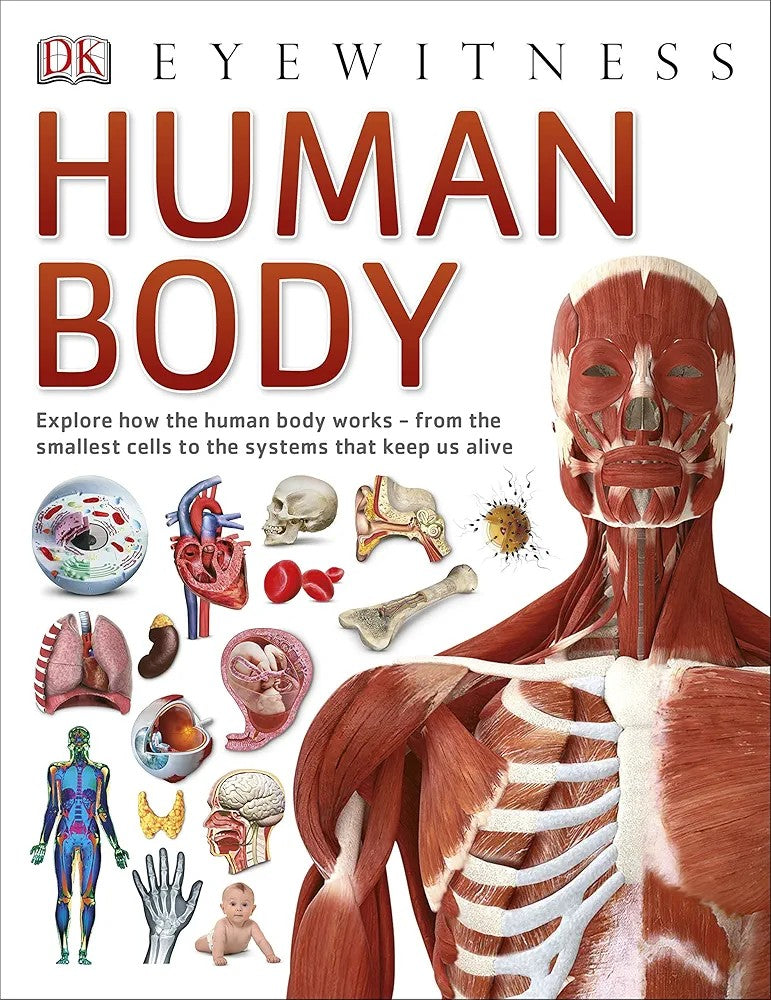 Eyewitness Human Body - Explore how the human body works