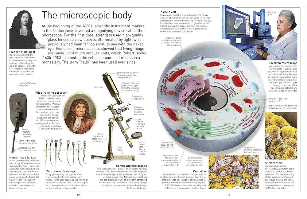 Eyewitness Human Body - Explore how the human body works