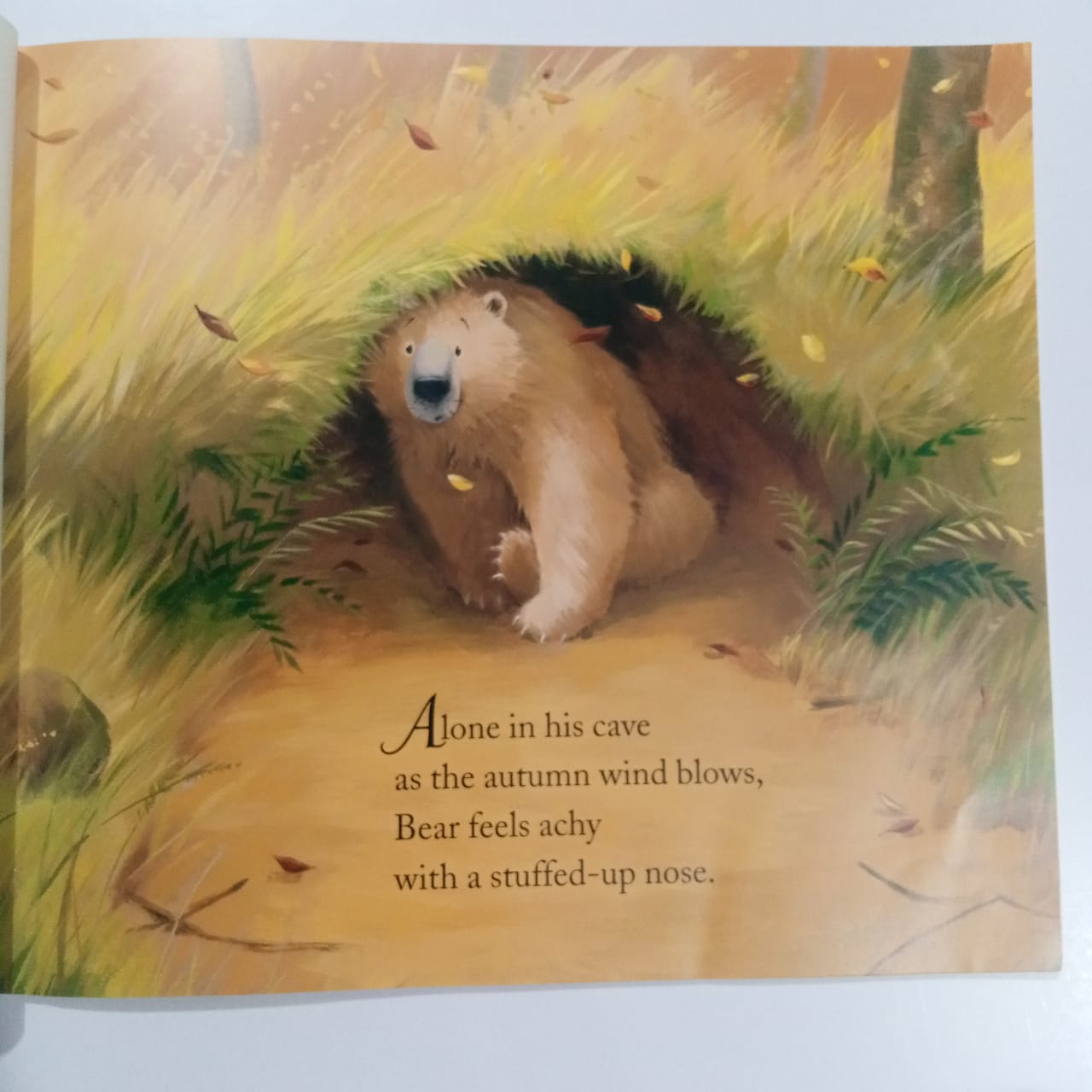 Bear Feels ill (Preloved)