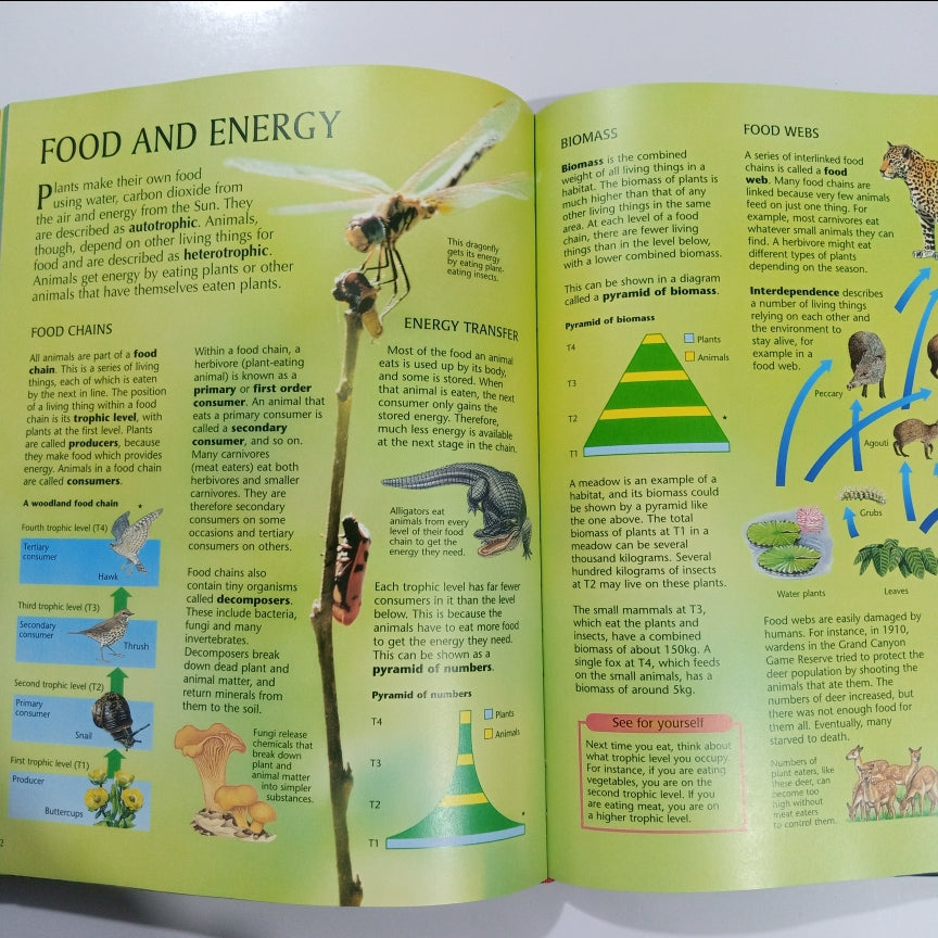 The Usborne Internet-Linked Science Encyclopedia with 1,000 recommended Web sites (Preloved)