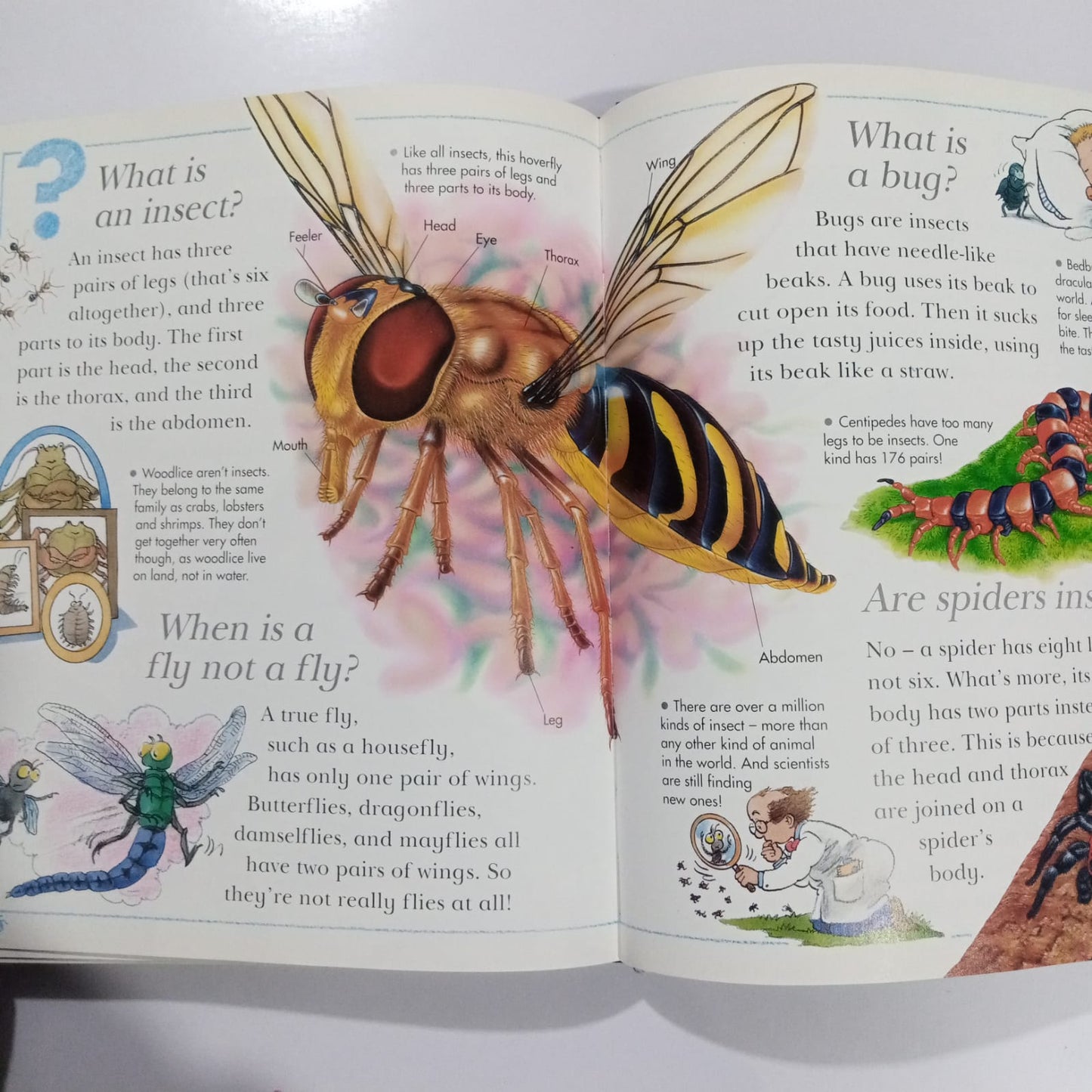 Kingfisher I Wonder WHY Encyclopedia (Preloved)