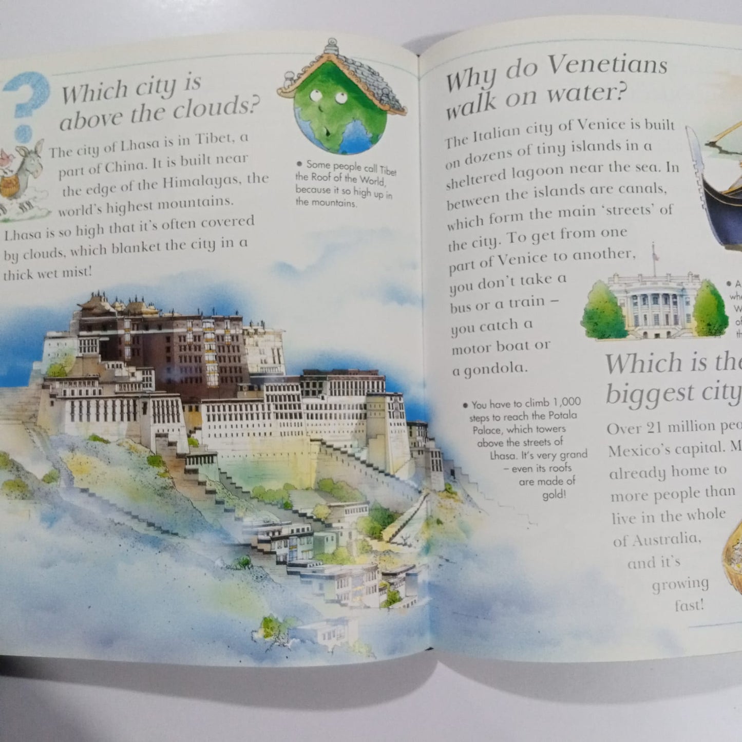 Kingfisher I Wonder WHY Encyclopedia (Preloved)