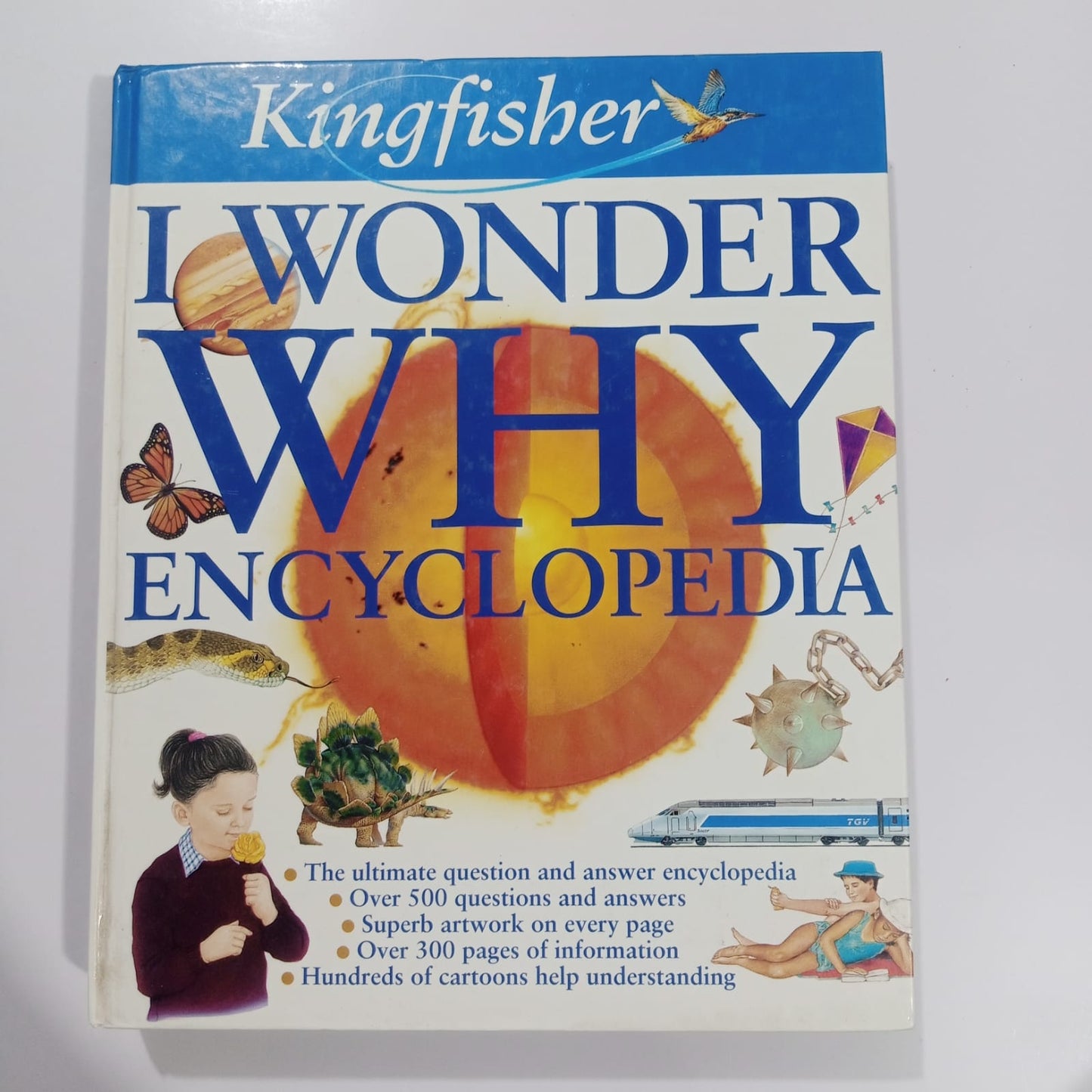 Kingfisher I Wonder WHY Encyclopedia (Preloved)