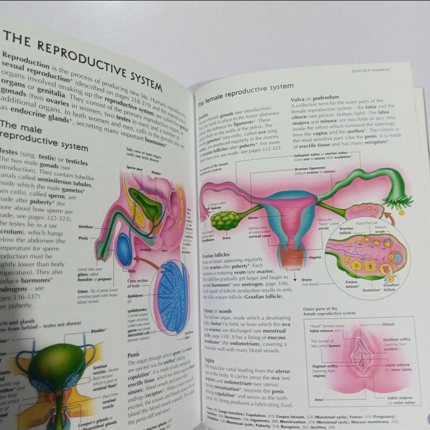 The Usborne illustrared Dictionary of Science (Preloved)