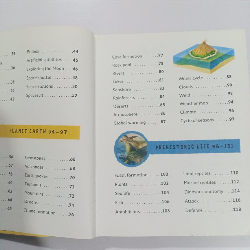 Junior Picture Dictionary (Preloved)