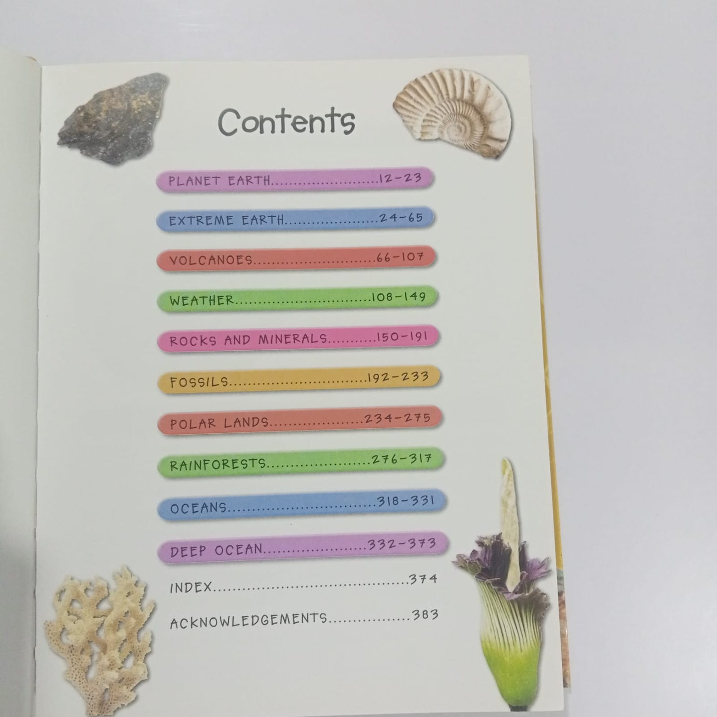 Miles Kelly Fantastic Earth Facts (Preloved)