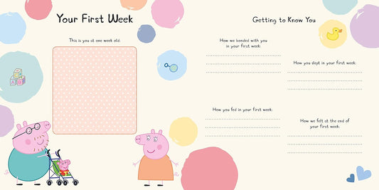 Baby Record Book (Hardcover)