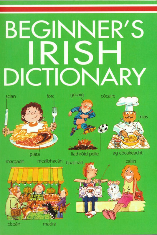 Beginner's Irish Dictionary