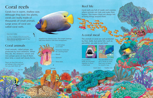 First Encyclopedia Of Seas & Oceans (Hard Cover)