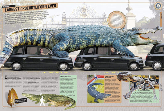 Guinness World Records 2020 (Hard Cover)