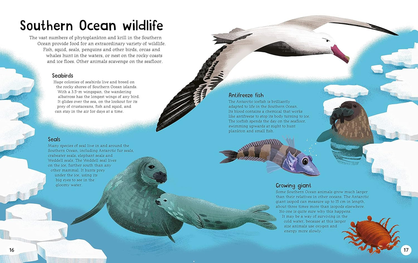 The Southern Ocean