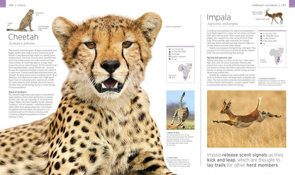 Wildlife Of The World