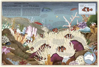 Atlas-of-Ocean-Adventures-by-Emily-Hawkins-Explore-Sea-Creatures