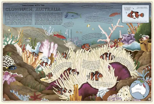 Atlas-of-Ocean-Adventures-by-Emily-Hawkins-Explore-Sea-Creatures