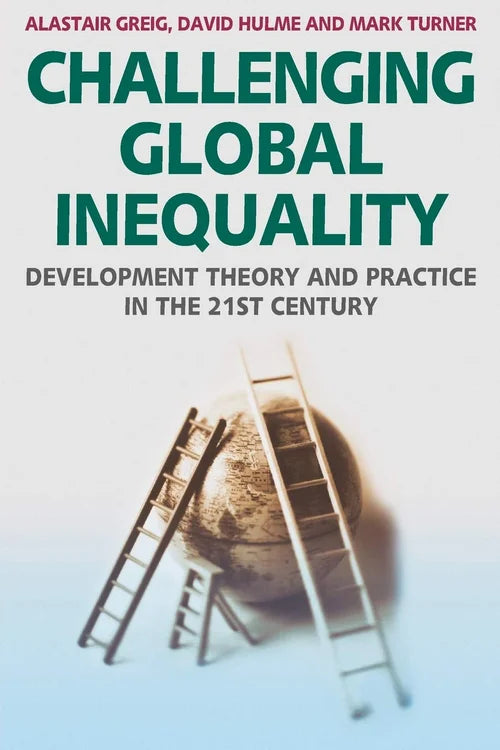 Book cover of 'Challenging Global Inequality' with ladders and a globe on a light background