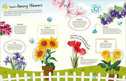 Educational illustration about sun-loving flowers with colorful flowers and text.