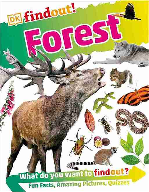 Book cover of 'Forest' by DK with animals and nature illustrations on a colorful background