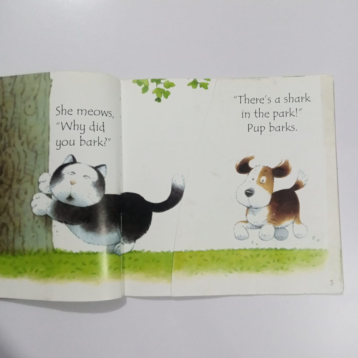 Usborne Phonics Readers Shark in the Park (Preloved)