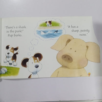 Usborne Phonics Readers Shark in the Park (Preloved)