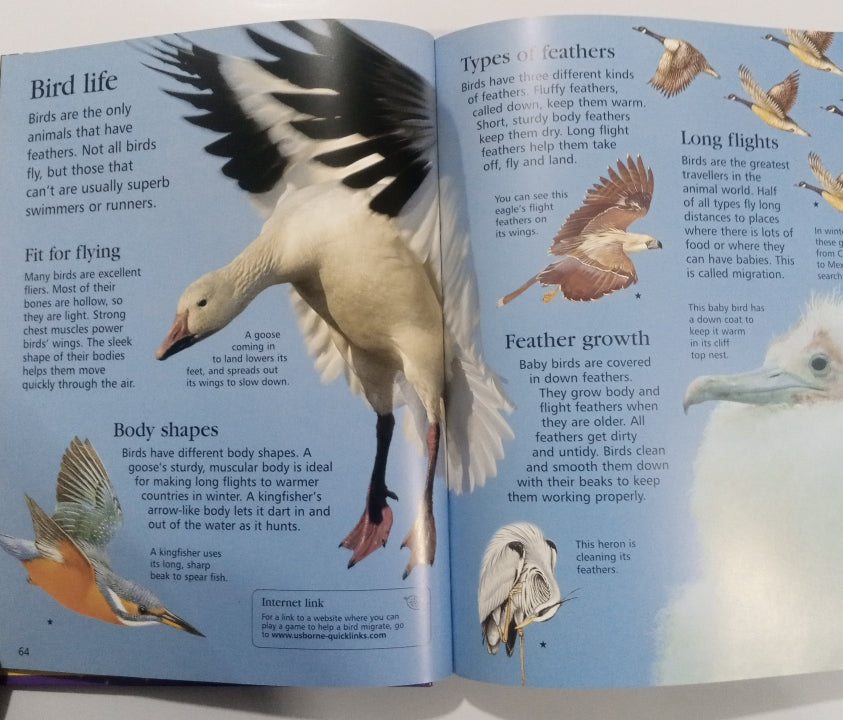 The Usborne Internet-Linked CHILDREN'S ENCYCLOPEDIA (Preloved)