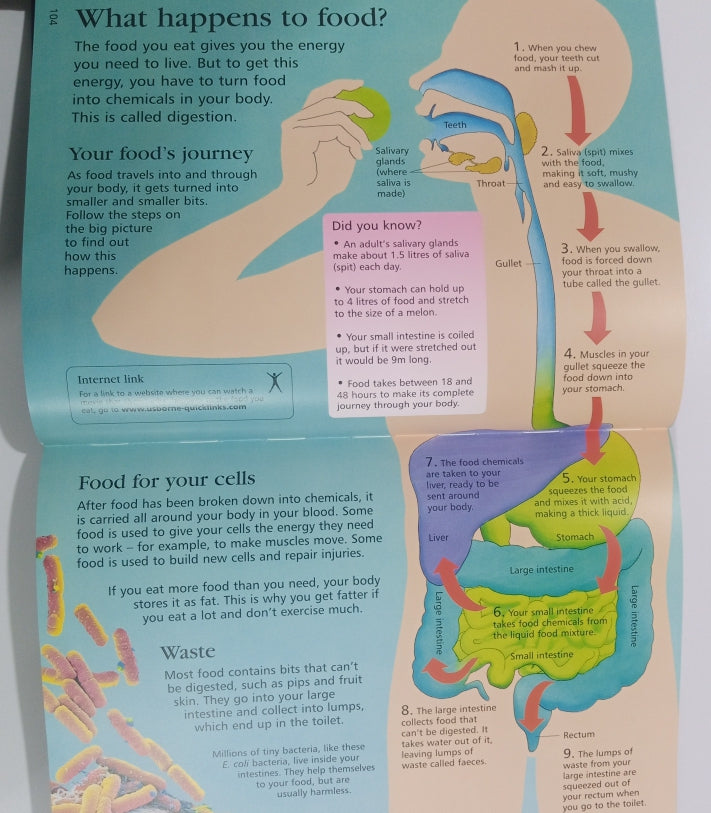 The Usborne Internet-Linked CHILDREN'S ENCYCLOPEDIA (Preloved)