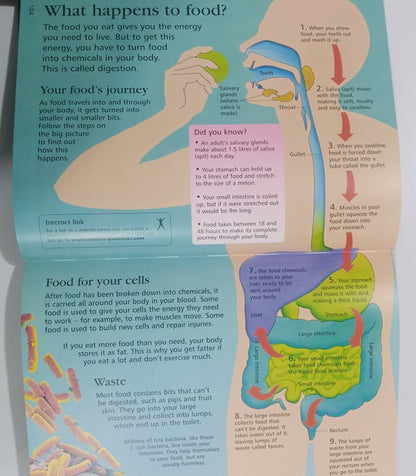 The Usborne Internet-Linked CHILDREN'S ENCYCLOPEDIA (Preloved)