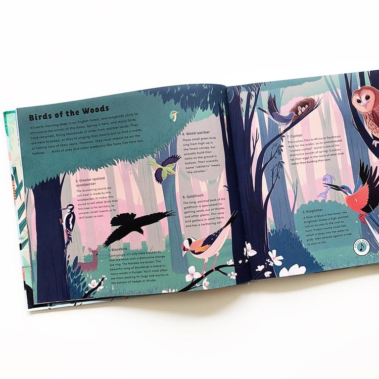Illustrated book open to a page about birds of the woods with colorful illustrations on a white background.