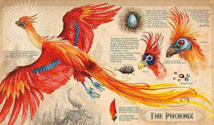 Illustration of a phoenix with detailed information on its life cycle and characteristics.