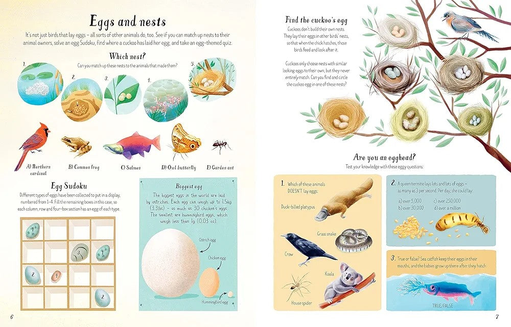 The Usborne Write in Nature Activity Book (Paper Cover)