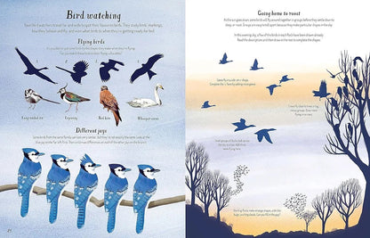 The Usborne Write in Nature Activity Book (Paper Cover)