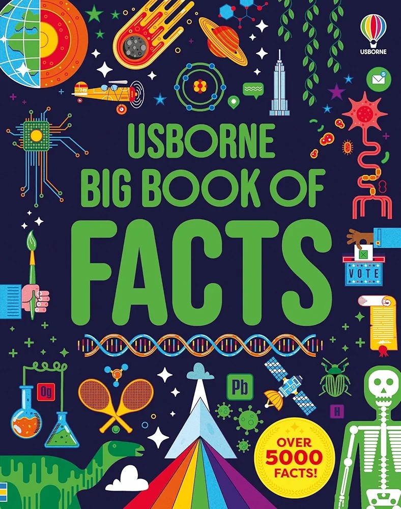 Usborne BIG BOOK OF FACTS (Paperback)