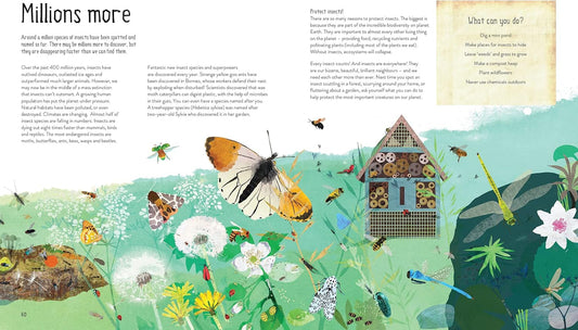 One Million Insects (Hardcover)