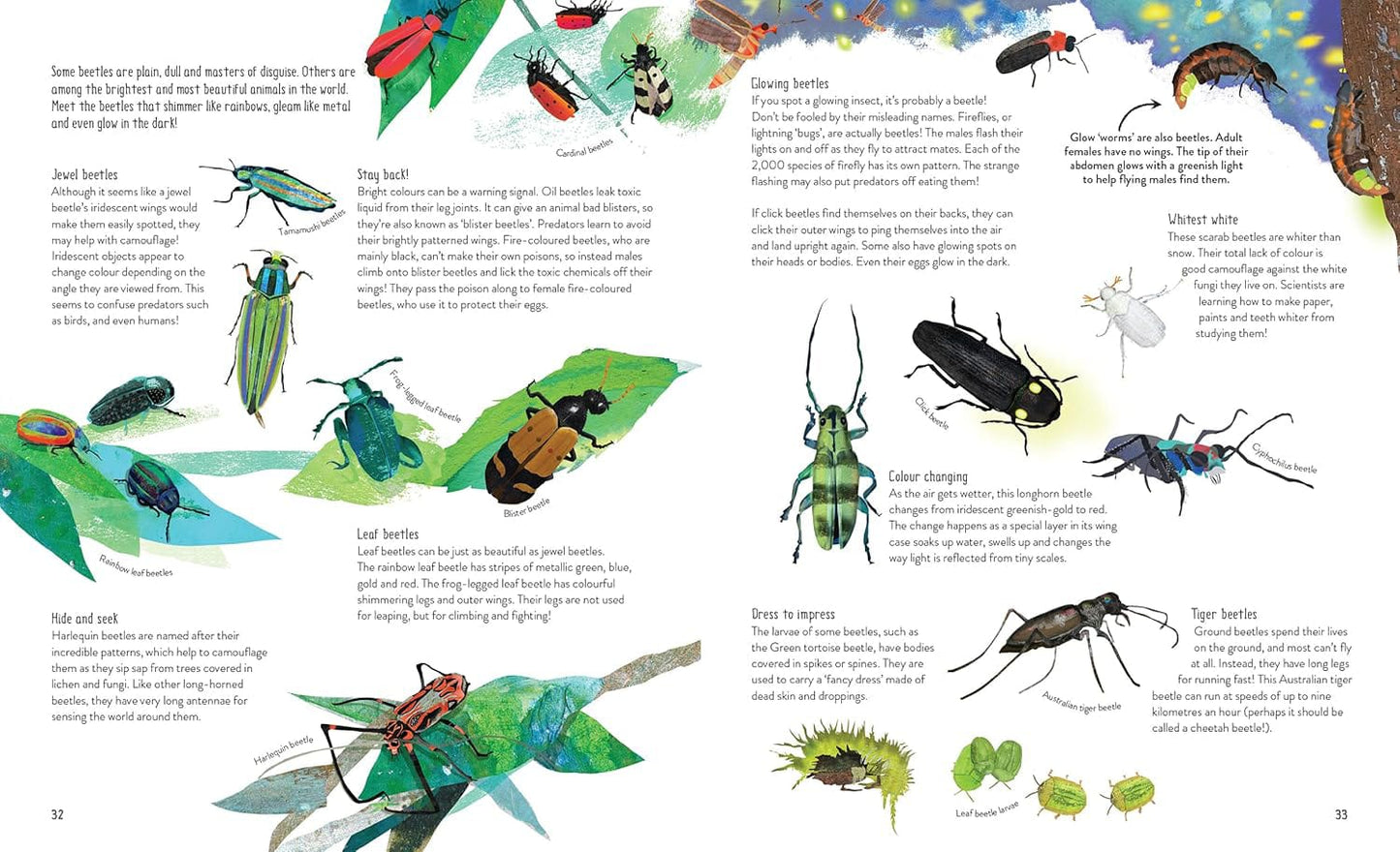 One Million Insects