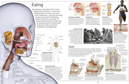 Eyewitness Human Body - Explore how the human body works