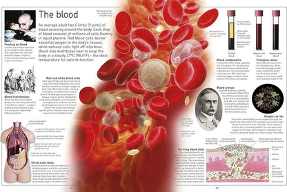 Eyewitness Human Body - Explore how the human body works