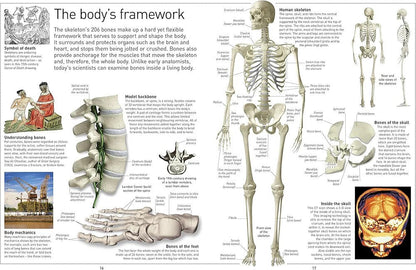 Eyewitness Human Body - Explore how the human body works