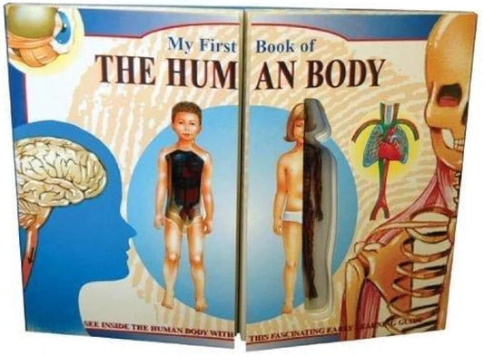 My First Book of THE HUMAN BODY (Board Book)