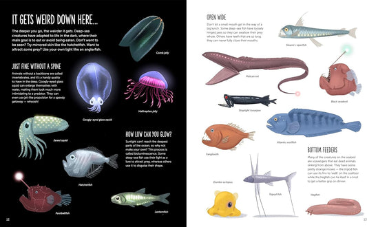 Deep Dive into Hidden Worlds (Hard Cover)