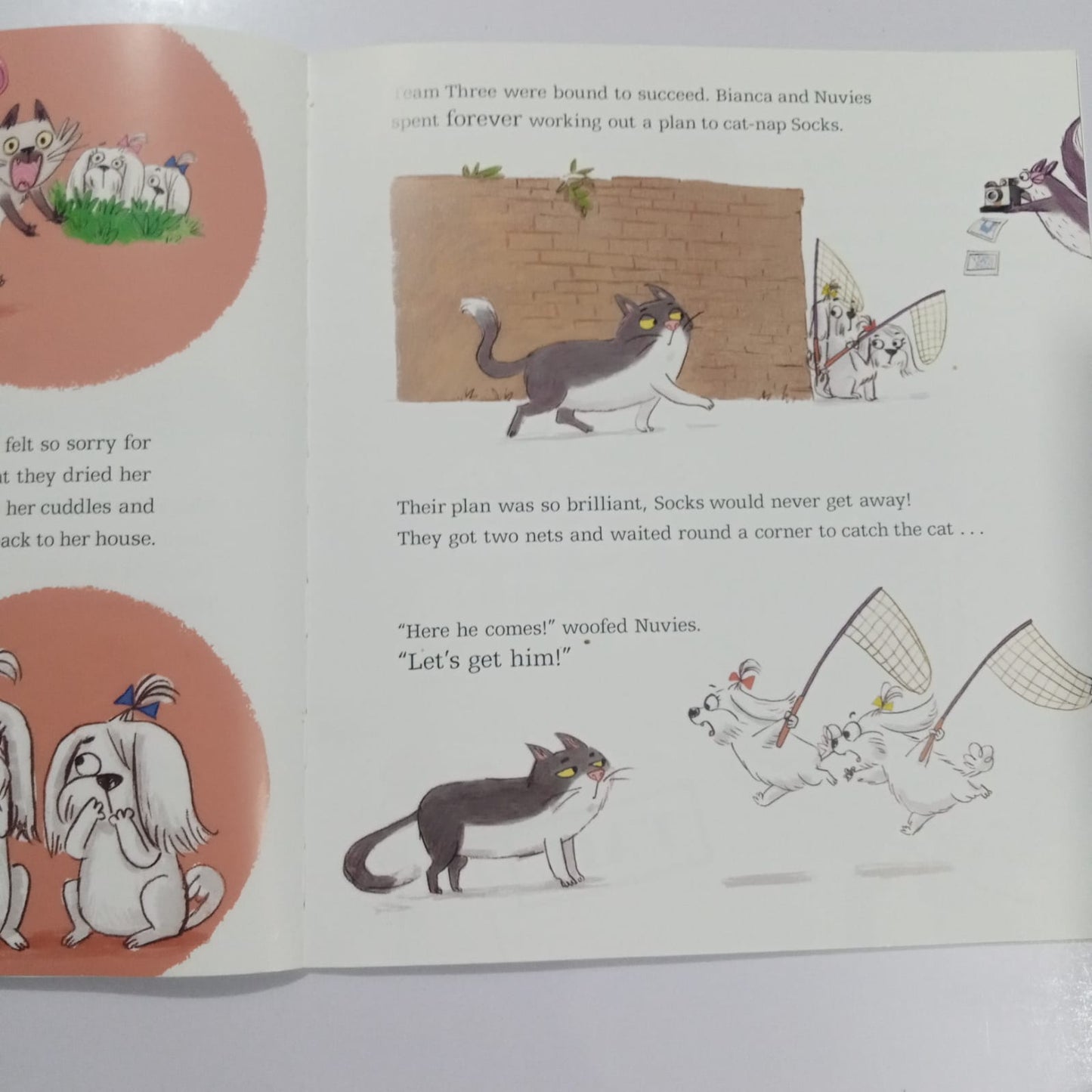 The Sacconejolys and the Great Cat-Nap (Preloved)