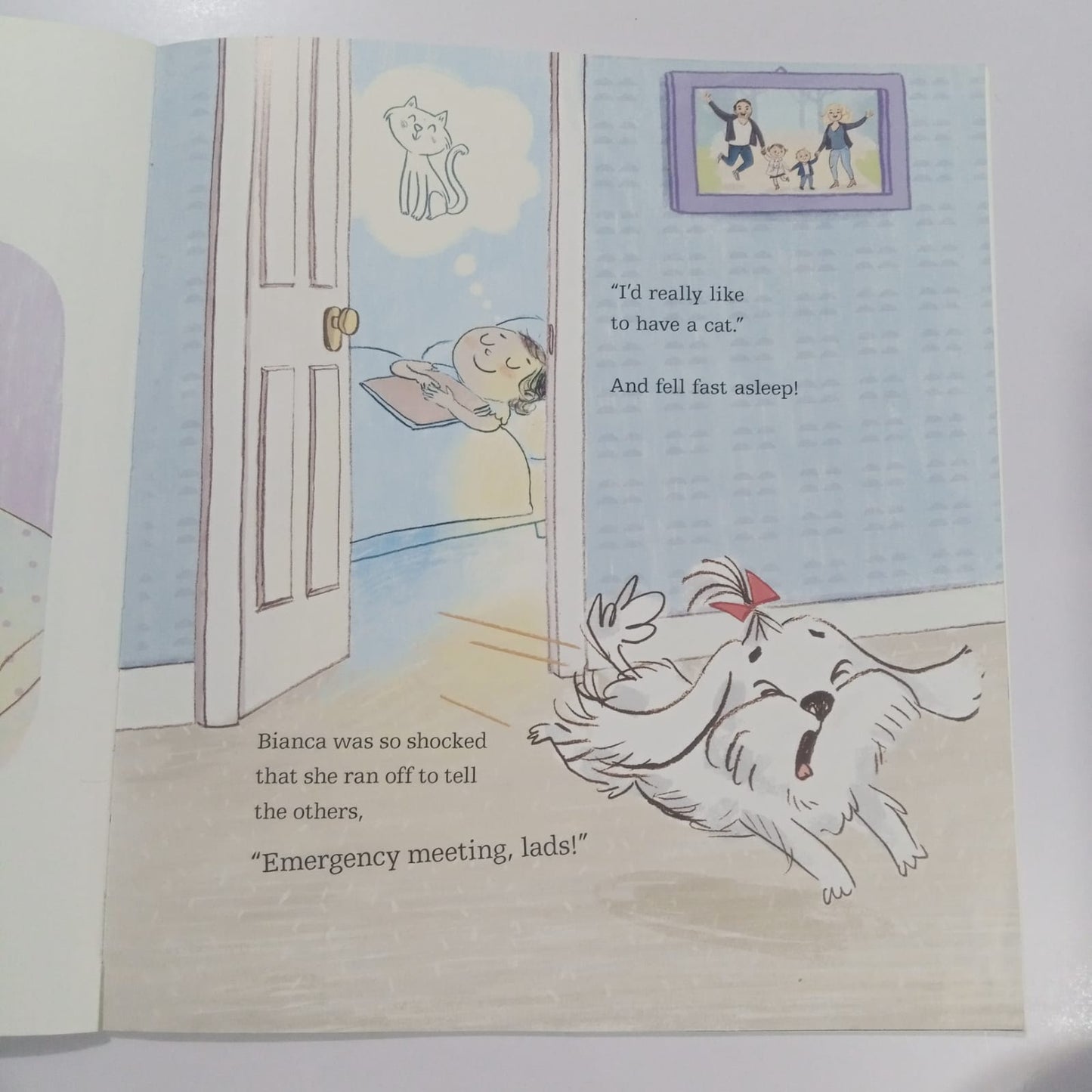 The Sacconejolys and the Great Cat-Nap (Preloved)