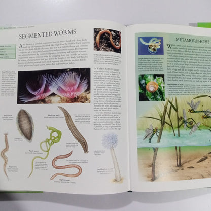 The Encyclopedia of Animals-A Complete Visual Guide (Preloved)