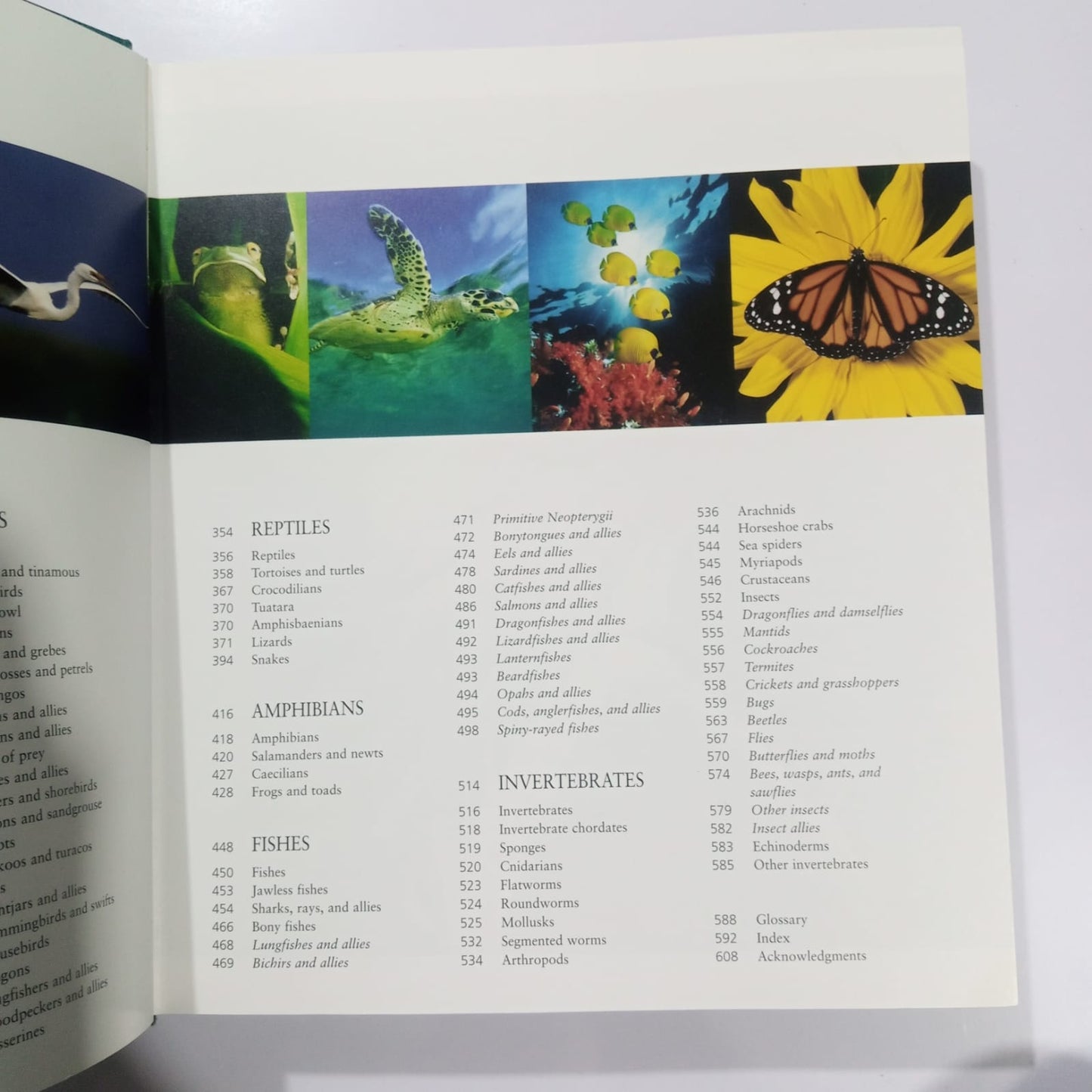 The Encyclopedia of Animals-A Complete Visual Guide (Preloved)