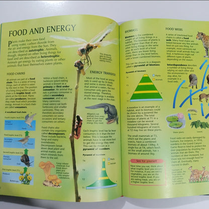 The Usborne Internet-Linked Science Encyclopedia with 1,000 recommended Web sites (Preloved)