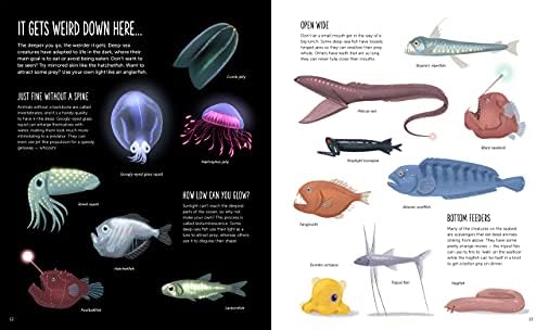 Deep: Dive into Hidden Worlds