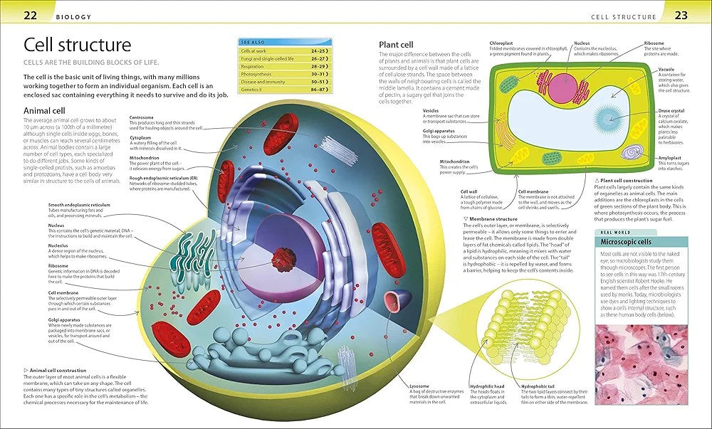 DK - Help Your Kids with Science: A Unique Step-by-Step Visual Guide, Revision and Reference